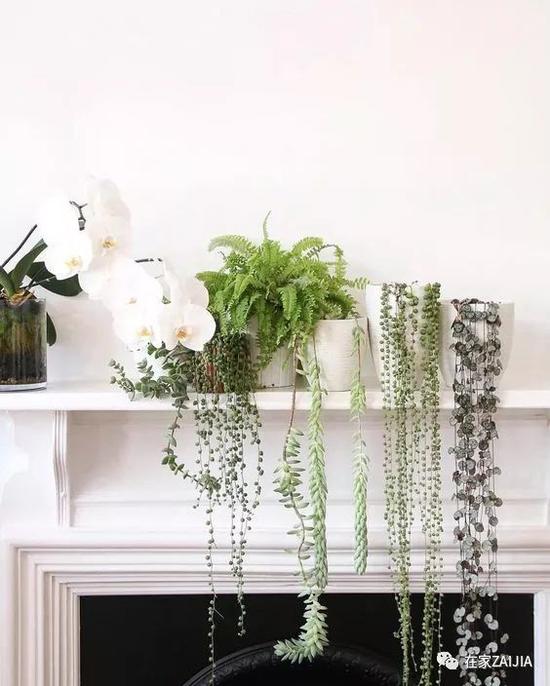 http://n.sinaimg.cn/fashion/crawl/436/w550h686/20180508/xEiC-hacuuvv0696554.jpg