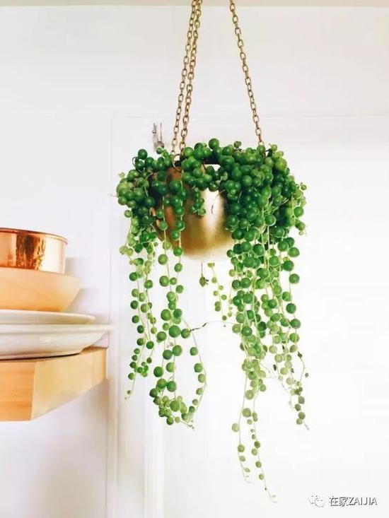 http://n.sinaimg.cn/fashion/crawl/483/w550h733/20180508/N8nr-hacuuvv0696184.jpg