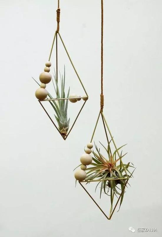 http://n.sinaimg.cn/fashion/crawl/550/w550h800/20180508/-yFX-hacuuvv0695917.jpg