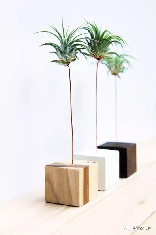 http://n.sinaimg.cn/fashion/crawl/575/w550h825/20180508/vhCQ-hacuuvv0696193.jpg