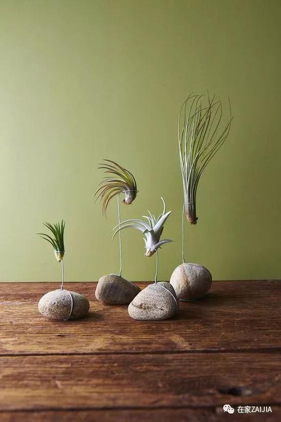 http://n.sinaimg.cn/fashion/crawl/575/w550h825/20180508/9QWB-hacuuvv0695971.jpg