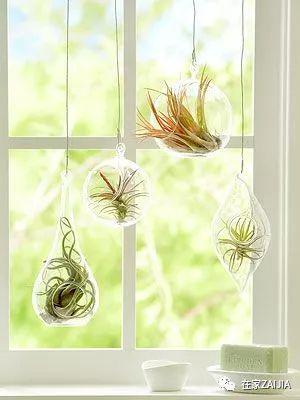 http://n.sinaimg.cn/fashion/crawl/700/w300h400/20180508/FMyz-hacuuvv0696113.jpg
