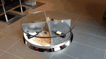 http://n.sinaimg.cn/fashion/gif_image/562/w360h202/20180329/ys3J-fyssmmc2971482.gif