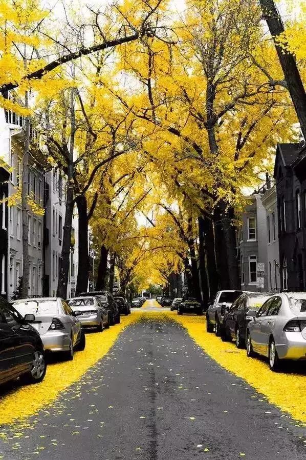 http://www.52hrttpic.com/image/infoImage/201805/01/D1524811407767.jpeg?598x897