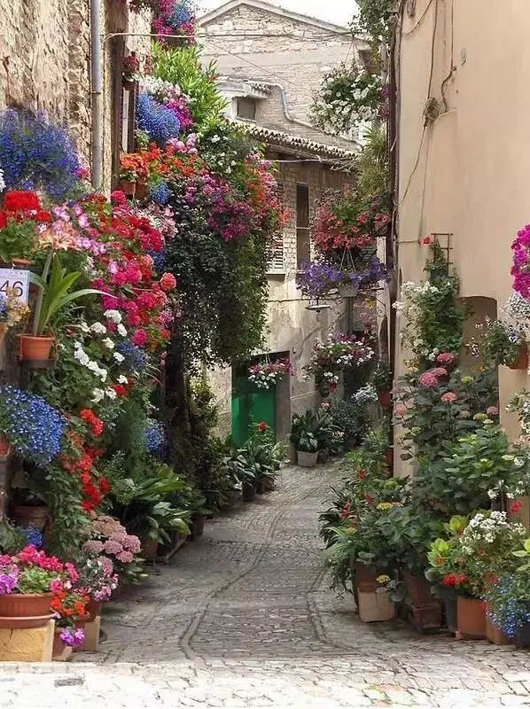 http://www.52hrttpic.com/image/infoImage/201805/01/D1524811407770.jpeg?598x800