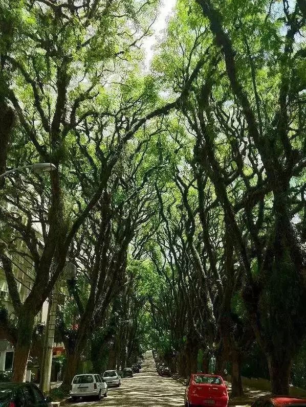 http://www.52hrttpic.com/image/infoImage/201805/01/D1524811407773.jpeg?598x796