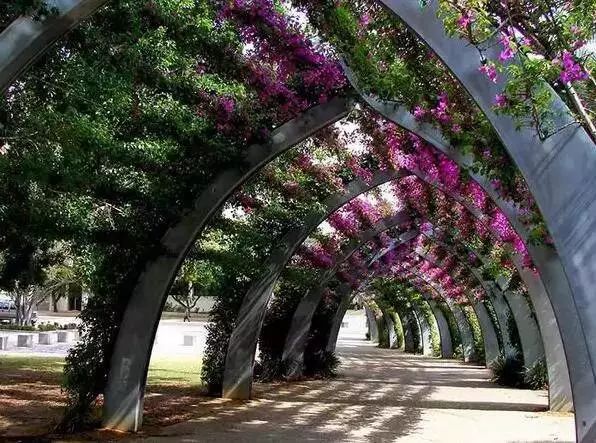 http://www.52hrttpic.com/image/infoImage/201805/01/D1524811407778.jpeg?596x443