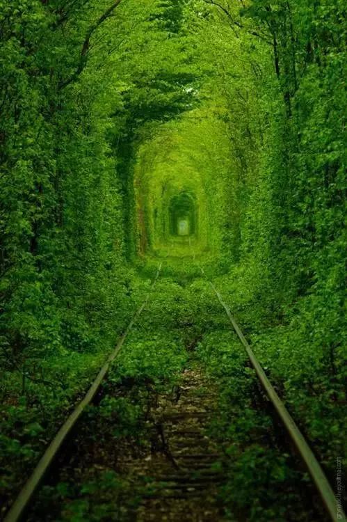 http://www.52hrttpic.com/image/infoImage/201805/01/D1524811407779.jpeg?499x750