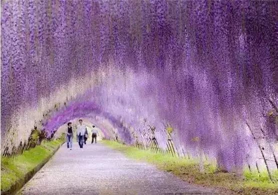 http://www.52hrttpic.com/image/infoImage/201805/01/D1524811407782.jpeg?555x390