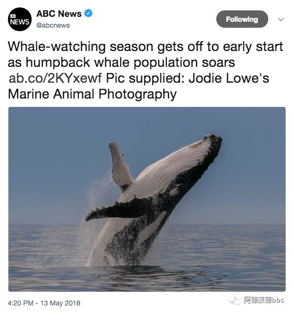http://www.yeeyi.com/news/data/article/2018_05_17/7/pic_1526522930_39115.jpg