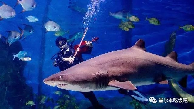 https://bbs.yeeyi.com/news/data/article/2018_05_14/2/pic_1526263821_98571.jpg