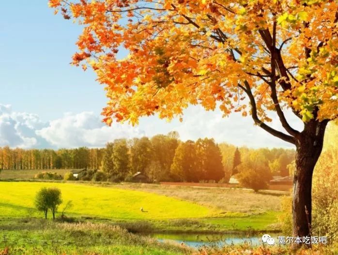 https://mmbiz.qpic.cn/mmbiz_jpg/8XP6AJS4BwZ3VPQgwpRic7pPLOFogrF3qA56nXiaBwnzDcROibKPdmJpkZKypqKyYoYiaibIic9wt9YibUnu1cw6zIy8A/640?wx_fmt=jpeg