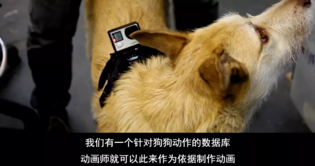 https://mmbiz.qpic.cn/mmbiz_jpg/x1y3FkrmsGIMwusibhHgvUtp6mPUbjFGEaiaiac7K9KCsD0rPLEGGl9TFqCowtglN1Dd1oFM8rbh908Pv0WJuEd2Q/640?wx_fmt=jpeg
