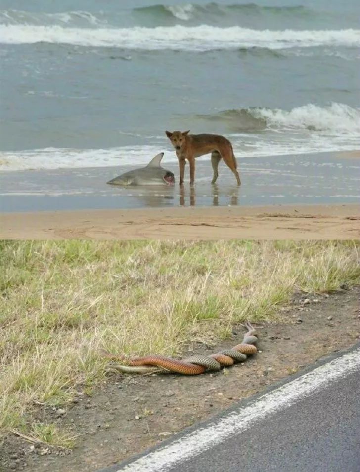 https://mmbiz.qpic.cn/mmbiz_jpg/XIo5icAdibUPIasKxgfc2uvj4aXeDcCmx0UQyicx17xEoGRYe9cwTQae3z19YTCaDzjoIjxmZcVw2HecSPEdsJnQw/640?wx_fmt=jpeg