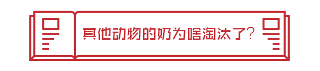 https://mmbiz.qpic.cn/mmbiz_png/CN8UjY2zsf9JDibqwP3yIMfXrTkyXvkbb8vLaE72UhCiaaEPgpaicD0vv0BInQ3O4icr1XXUA670n6Zyg9QD8Q7AQA/640?wx_fmt=png