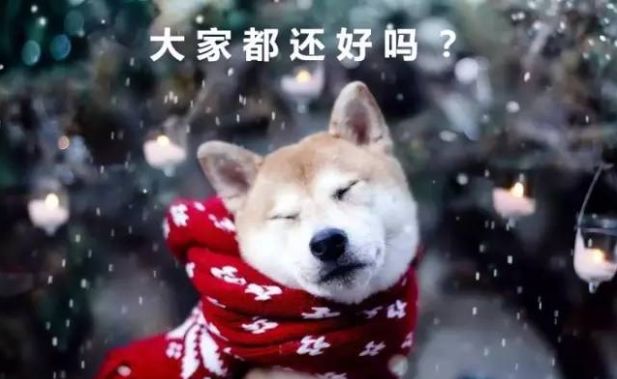 https://mmbiz.qpic.cn/mmbiz_png/XIo5icAdibUPKKwJayicoZ1ibQLTRrxxK3f4DtLeCW0D8XPDr7kmzhoUUjqvEtXM94qiafXO0GMSBrjFSzj13kEGPJQ/640?wx_fmt=png