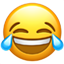 https://res.wx.qq.com/mpres/htmledition/images/icon/common/emotion_panel/emoji_ios/u1F602.png