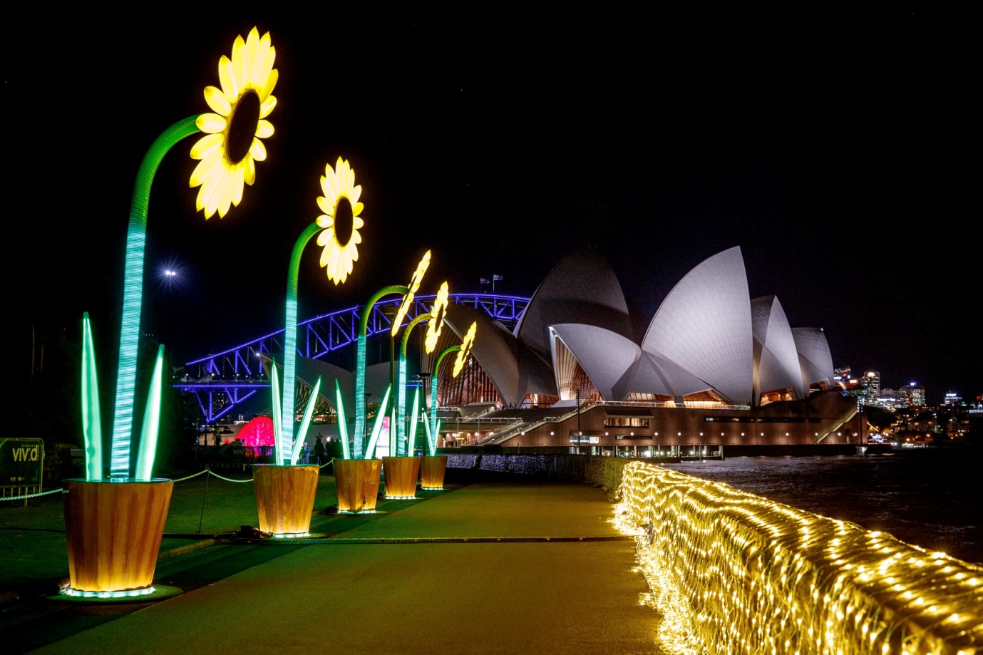 VividSydney2017_RoyalBotanicGardens_TheSunflowers_Destination-NSW_James-Horan-0001.jpg