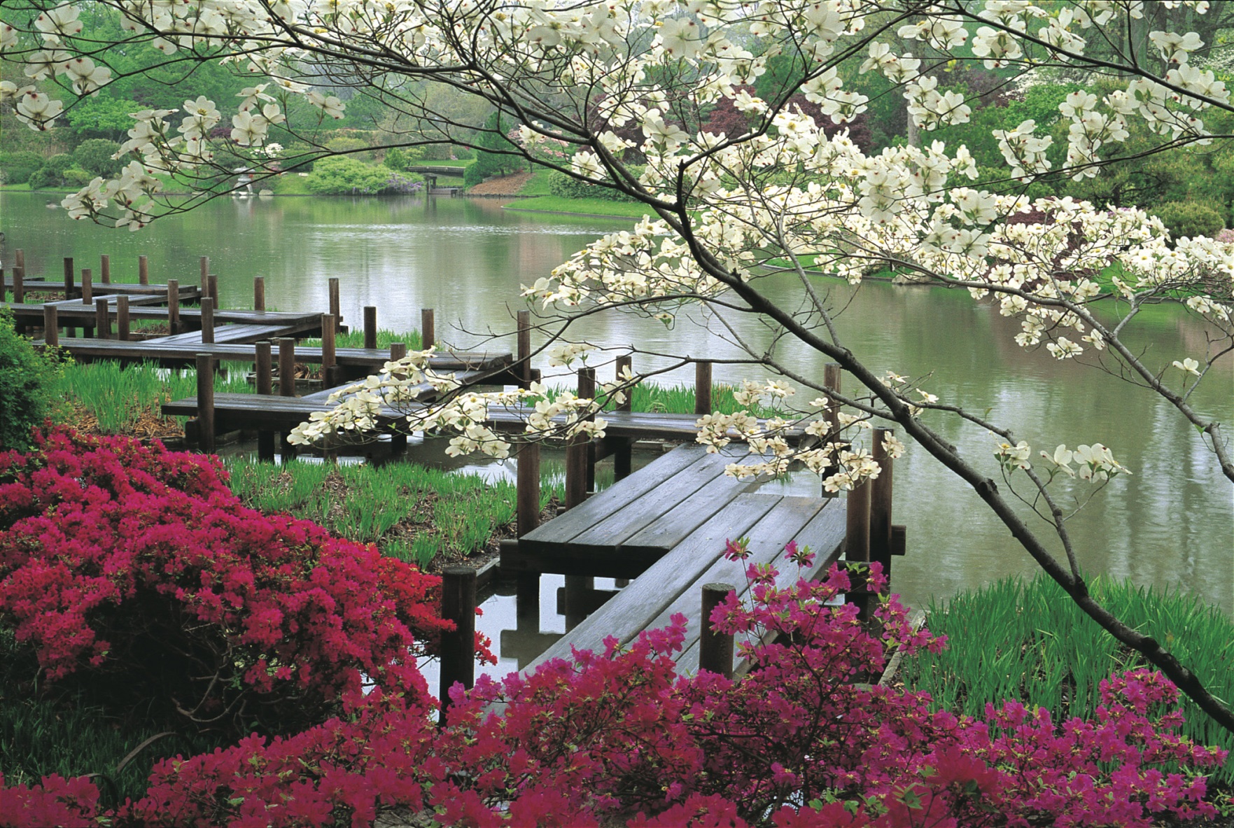 http://conferodezso.files.wordpress.com/2012/04/japanese-garden-jjennings-design.jpg
