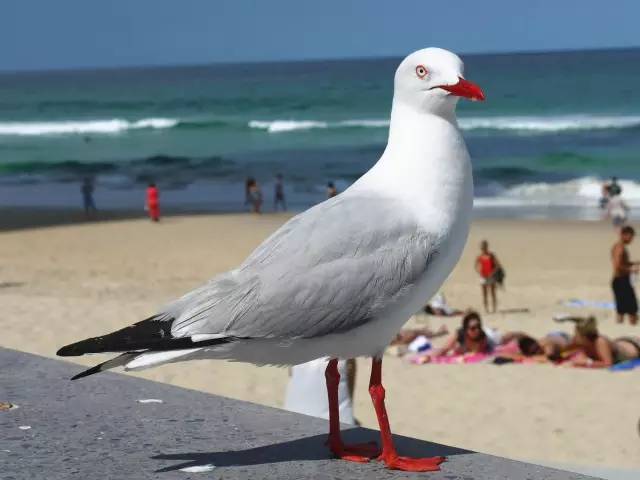 http://uniqueway.b0.upaiyun.com/uploads/2017/08/l2otyljopvqgt37kyusw923qelarfbrm.jpeg
