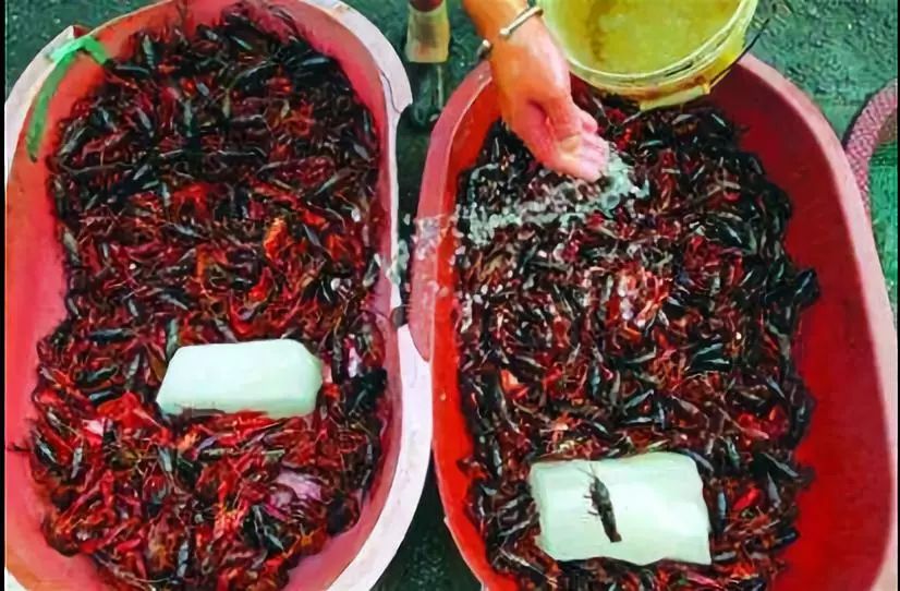 http://www.yeeyi.com/news/data/article/2018_06_13/8/pic_1528846959_49640.jpg