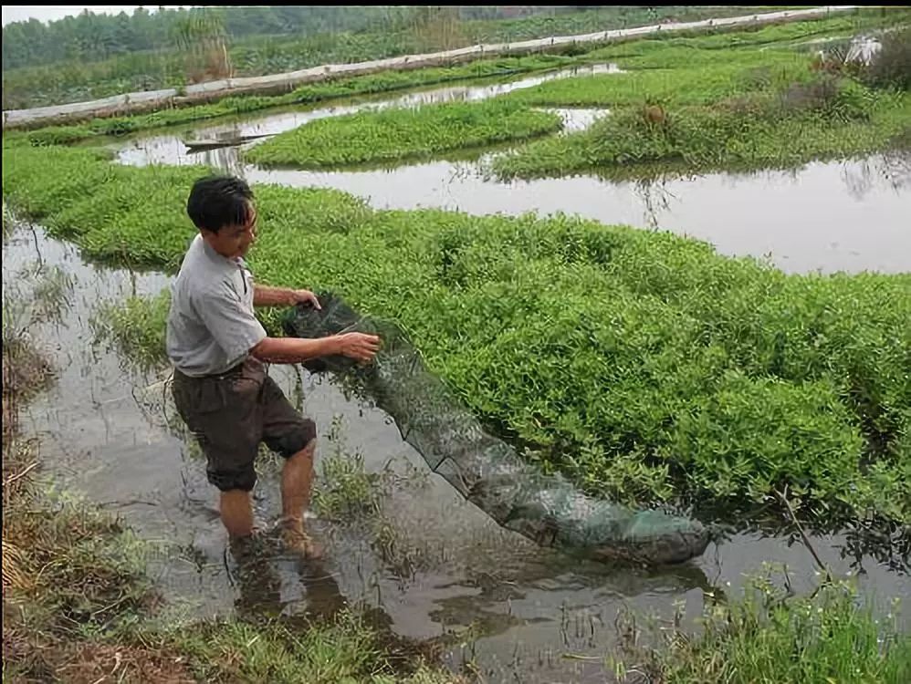 http://www.yeeyi.com/news/data/article/2018_06_13/4/pic_1528846962_29538.jpg