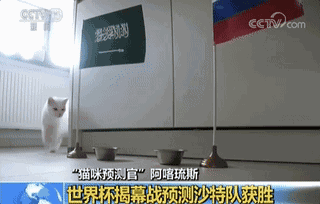 https://mmbiz.qpic.cn/mmbiz_gif/oq1PymRl9D4B2tKcnDmDNFl25AkHanQoju8Hm6CeIjZvIo5iaTViaSiaGQclpBFvx4dicyCGaEQtKPlMIUmHKlOYSA/640?wx_fmt=gif