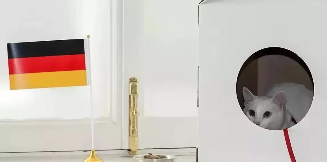 https://mmbiz.qpic.cn/mmbiz_jpg/owOAp1ic3A827E2084vuoAOjUNt7hgAbW1zlpYavZDy5Vwog4uPY1YcM6WFqYPic98yib4bHaTiaFQxTRUC8bkVROw/640?wx_fmt=jpeg