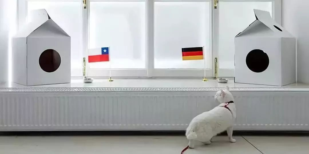 https://mmbiz.qpic.cn/mmbiz_jpg/owOAp1ic3A827E2084vuoAOjUNt7hgAbWGkdtt4KkPBK98dasMMWSibuVXu6c6m5kQe2R1AN8hygib7JwTM5a2ttg/640?wx_fmt=jpeg