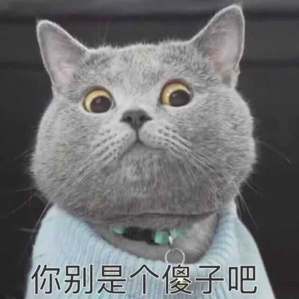https://mmbiz.qpic.cn/mmbiz_jpg/zKBwDdu8U8G6bpcib3ibia1485p1lL6ibPGqQoH3iclx2R5gWBsJf4MAicRMfTbia5XxQPN0D0iaAE5qegX7BRIib0bv05A/640?wx_fmt=jpeg