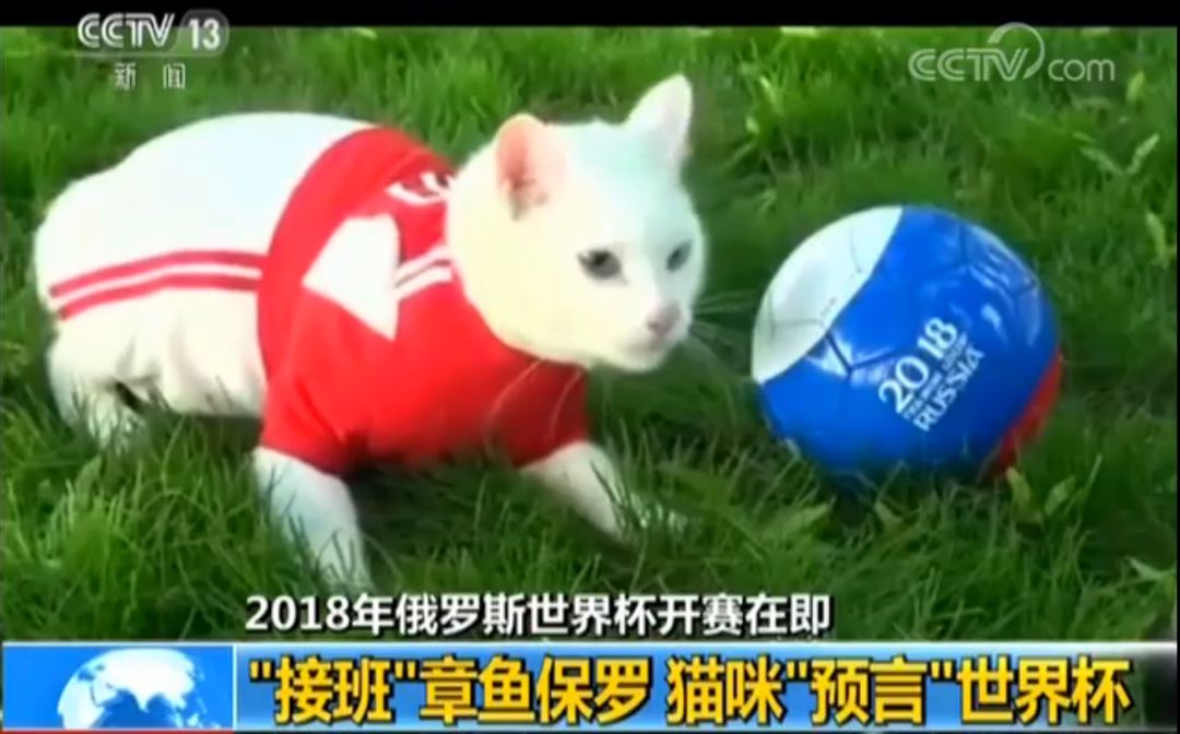 https://mmbiz.qpic.cn/mmbiz_png/oq1PymRl9D4B2tKcnDmDNFl25AkHanQo3KVPYzvibicrxW5HjGt4DQMbXb4cTSR36cfDJt4yUEYepmPaBlQnQJuA/640?wx_fmt=png