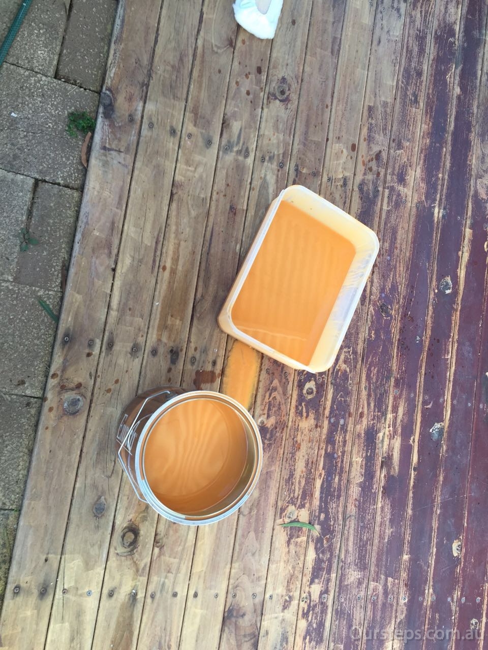 image.jpg