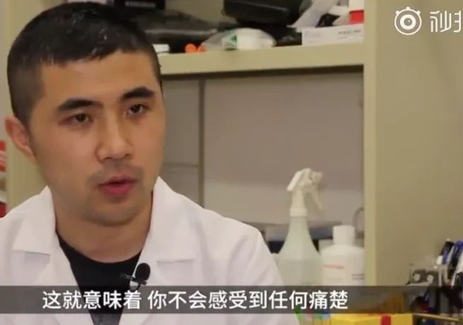 http://discuz-yeeyi.oss-ap-southeast-2.aliyuncs.com/news/data/article/2018_07_26/9/pic_1532559337_70309.jpg