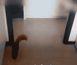 https://inews.gtimg.com/newsapp_match/0/4379264574/0