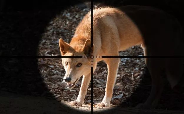https://mmbiz.qpic.cn/mmbiz_jpg/XIo5icAdibUPIoMeAU5kvjgRXYsCBLibgby0UDBQibzt9Zx0iab4kEnQsM7kHoh4D3Jzg1CgmTMY1s7AI5DAXIVjf2A/640?wx_fmt=jpeg