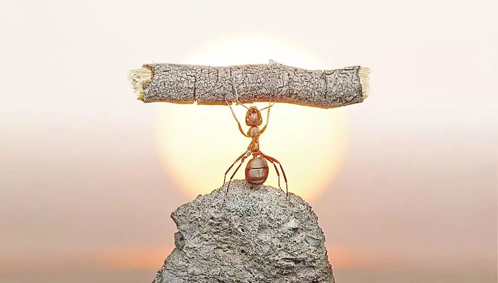 https://mmbiz.qpic.cn/mmbiz_jpg/XIo5icAdibUPLLdD8ugNJ16JdB1ueybXobHzALiboTBE8ickNzUQpeZIhhnVJUCs0fpfG2XXgxcR7Yw3yBTcpyD4cA/640?wx_fmt=jpeg