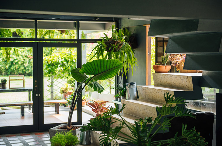 https://www.designwant.com/upload/images/171104-9_23.jpg