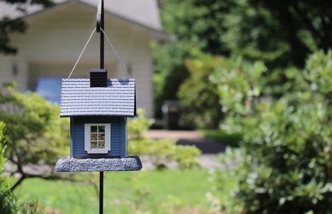 C:\Users\user\Downloads\birdhouse-2216747_640.jpg