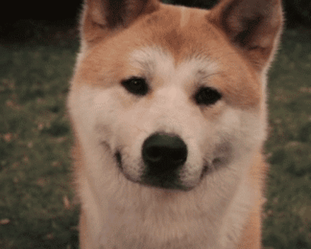 http://5b0988e595225.cdn.sohucs.com/images/20180826/b0d379fac10a4c1a9f4ca3a1b106507b.gif
