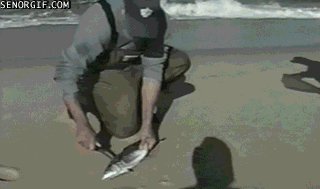 https://mmbiz.qpic.cn/mmbiz_gif/XIo5icAdibUPJ4o2Yxa0hj3oHYcianr93Wx6a9IExoE0eZrLrL1kiaIBtIgicEH1sclNsE7LokIYVJagvhmXThNnXbw/640?wx_fmt=gif