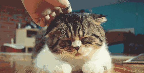 https://mmbiz.qpic.cn/mmbiz_gif/XIo5icAdibUPLlfqBfu8r6JfnFFyVVyey2AlVRMA1dNWWQ1GIs2KeeN7hHaahMORmickza81ibQrZc2t9I4GmVLDOg/640?wx_fmt=gif