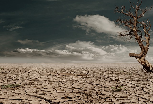 desert-279862_640