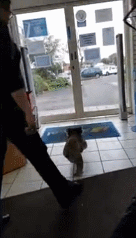 https://mmbiz.qpic.cn/mmbiz_gif/XIo5icAdibUPKLiaNlhAE7aBKtwKlYs0RAtnOx0XWJufOgJy2SKSJMPW9WNecrXnIefqdFE8E780e6LkkAibjquQxQ/640?wx_fmt=gif