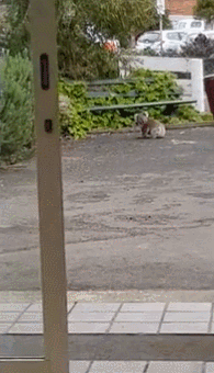 https://mmbiz.qpic.cn/mmbiz_gif/XIo5icAdibUPKLiaNlhAE7aBKtwKlYs0RAtviba3gnYWHiagMnsJZHsGPiavWTX3K03RQ0r3jB5N6ia4dHj5ElGQqVJmA/640?wx_fmt=gif