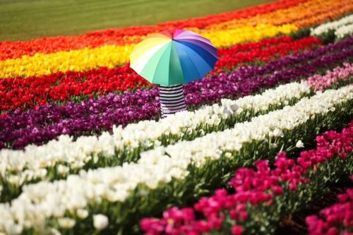 https://mmbiz.qpic.cn/mmbiz_jpg/XIo5icAdibUPIicM7icVM8T0moSgzOicA2lynGeFu320jK3osI6DiciaH8PzUGzEwrUpltKBpxPl2UUj0kd46LlEOe9sQ/640?wx_fmt=jpeg