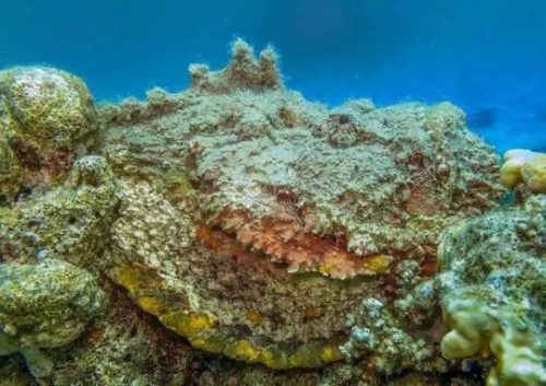 https://mmbiz.qpic.cn/mmbiz_jpg/XIo5icAdibUPIPSaje3xEu06chP6QFOSdy0keibvAxbBHRlRV5K9urb9wpJVrnkiaklKl2DwM6kvUrDNUwYsQeMpEQ/640?wx_fmt=jpeg