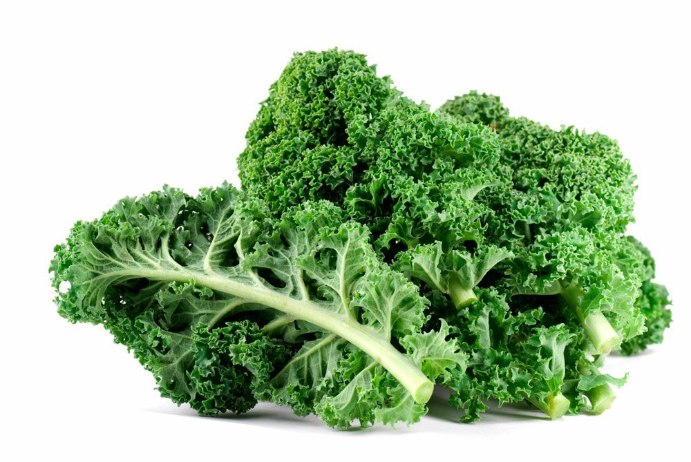 Z:\611-20180908\Final\B Section\B06\B06-神秘蔬果怎麼吃\羽衣甘藍 （Kale）.jpg