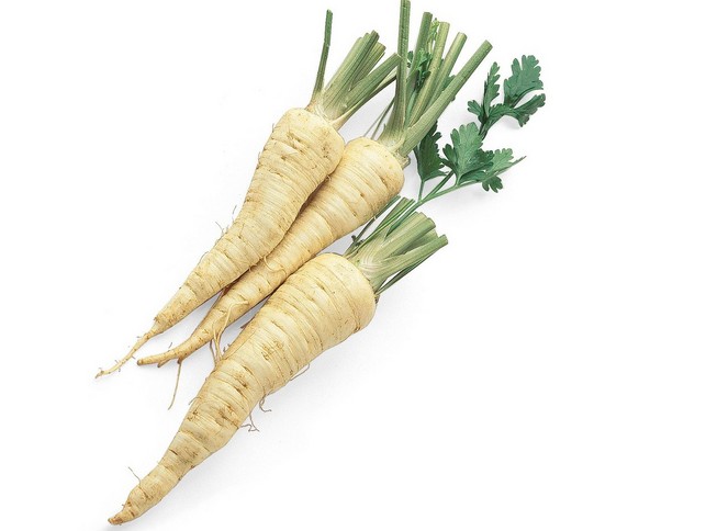 Z:\611-20180908\Final\B Section\B06\B06-神秘蔬果怎麼吃\歐洲蘿蔔（Parsnips）.jpg