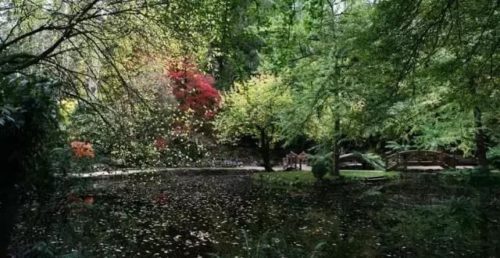 http://5b0988e595225.cdn.sohucs.com/images/20181014/25cf7e3b2d6d454cb4e4d8413456580e.jpeg
