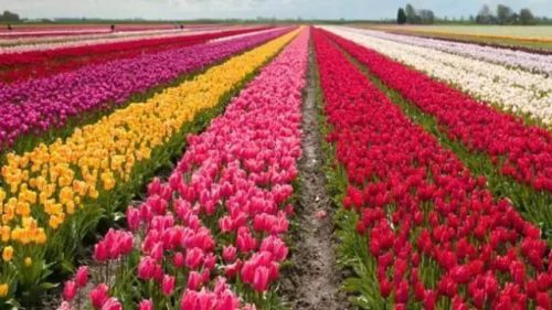 http://5b0988e595225.cdn.sohucs.com/images/20181014/2c80ea0a74244ff7bc88e7512ba363c5.jpeg